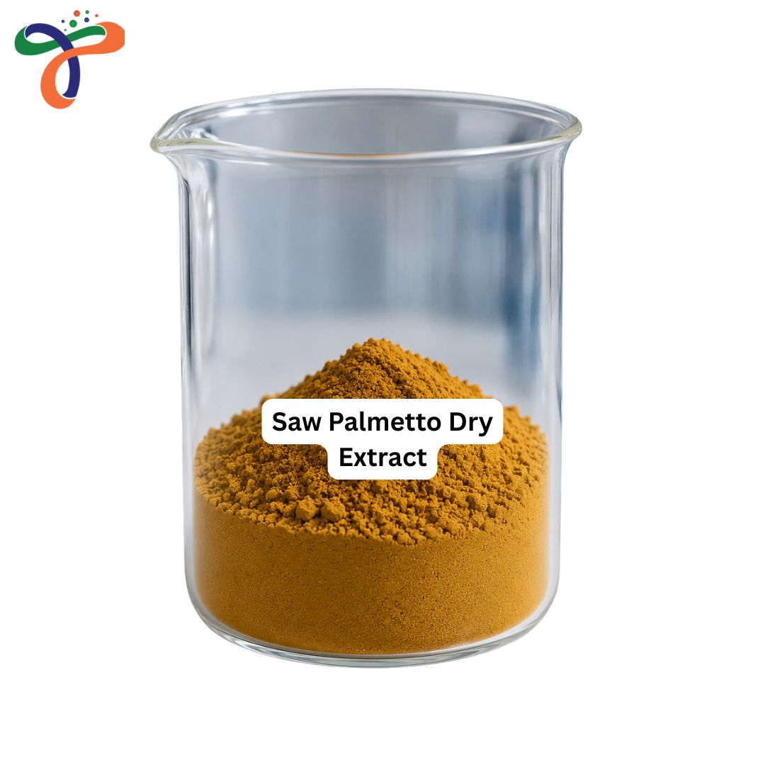 Saw Palmetto Dry Extract